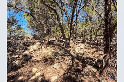 1031 Parton and 151 Reeves Road, Canyon Lake, TX 78133 - Photo 13