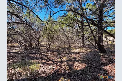 1031 Parton and 151 Reeves Road, Canyon Lake, TX 78133 - Photo 15