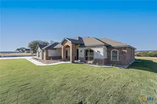 4249 Cold Spgs Rd, Kempner, TX 76539 - Photo 3