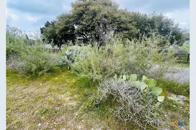 440 Peace Avenue, New Braunfels, TX 78130 - Photo 7