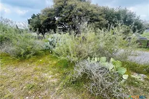 440 Peace Ave, New Braunfels, TX 78130 - Photo 7