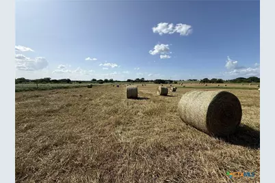 226 Fm 1107, Stockdale, TX 78160 - Photo 41
