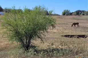 226 Fm 1107, Stockdale, TX 78160 - Photo 11