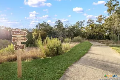 24314 Downhill Lie, San Antonio, TX 78261 - Photo 45