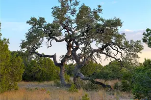 100 Acres N Cranes Mill Rd, Canyon Lake, TX 78133 - Photo 7