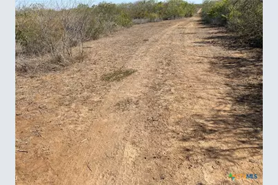 00 Cr 3081, Orange Grove, TX 78372 - Photo 3