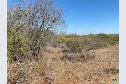 00 Cr 3081, Orange Grove, TX 78372 - Photo 1