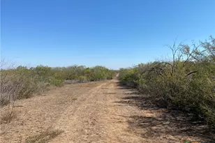 00 Cr 3081, Orange Grove, TX 78372 - Photo 5