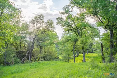 2810 Bridlewood Ranches Drive, San Marcos, TX 78666 - Photo 41