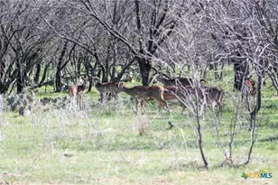 25 Acres Private Road 1789, Bend, TX 77418 - Photo 5