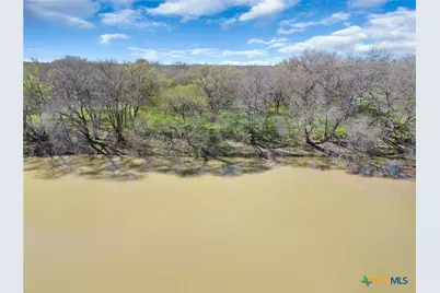 25 Acres Private Road 1789, Bend, TX 77418 - Photo 7