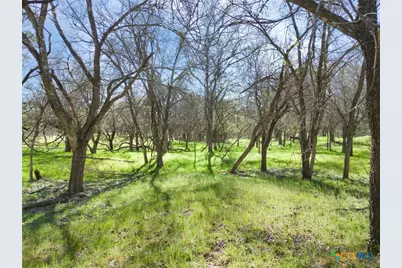 25 Acres Private Road 1789, Bend, TX 77418 - Photo 19