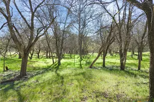 25 Acres Private Road 1789, Bend, TX 77418 - Photo 19