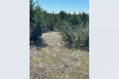 101 Cedar Hill Drive, Gatesville, TX 76528 - Photo 1