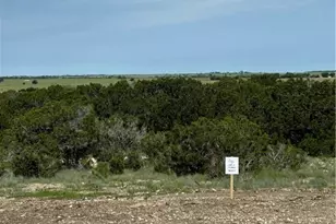 166 Cedar Bluff Loop, Gatesville, TX 76528 - Photo 1