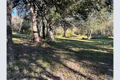 2168 River Oaks, Skidmore, TX 78164 - Photo 15