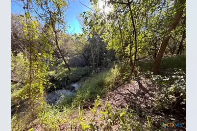 2168 River Oaks, Skidmore, TX 78164 - Photo 13