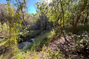 2168 River Oaks, Skidmore, TX 78164 - Photo 13