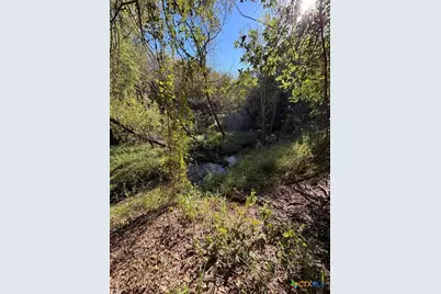 2168 River Oaks, Skidmore, TX 78164 - Photo 11