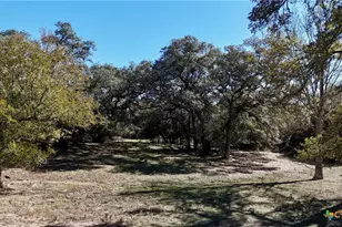 Tbd Holub Rd, Schulenburg, TX 78956 - Photo 15