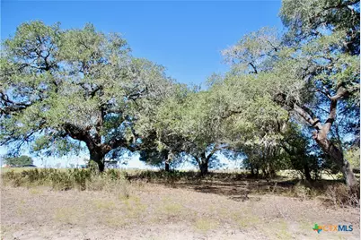 Tbd Holub Road, Schulenburg, TX 78956 - Photo 19
