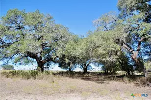 Tbd Holub Rd, Schulenburg, TX 78956 - Photo 19