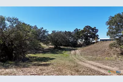 Tbd Holub Road, Schulenburg, TX 78956 - Photo 13