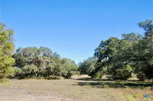 Tbd Holub Rd, Schulenburg, TX 78956 - Photo 5