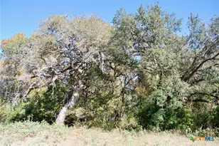 Tbd US 90, Schulenburg, TX 78956 - Photo 19