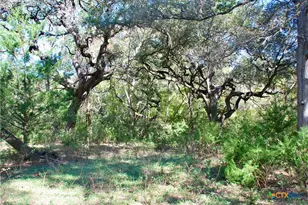 Tbd US 90, Schulenburg, TX 78956 - Photo 21