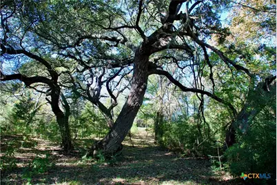 Tbd US 90, Schulenburg, TX 78956 - Photo 9