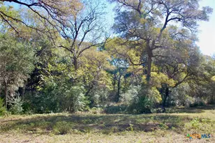 Tbd US 90, Schulenburg, TX 78956 - Photo 37