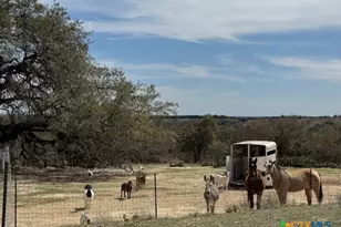 880 County Rd 3100, Kempner, TX 76539 - Photo 19