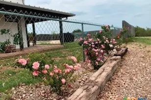 880 County Rd 3100, Kempner, TX 76539 - Photo 27