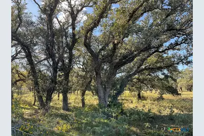 389 Hausmann Road, Cuero, TX 77954 - Photo 3