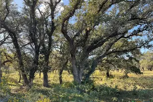 389 Hausmann Rd, Cuero, TX 77954 - Photo 3