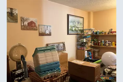 389 Hausmann Road, Cuero, TX 77954 - Photo 33