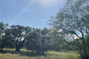 389 Hausmann Rd, Cuero, TX 77954 - Photo 3