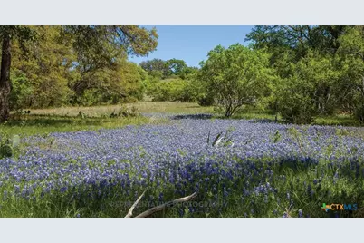 224 Menlo Bend, Liberty Hill, TX 78642 - Photo 9