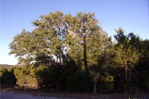 361/395 Mountain Wood, Canyon Lake, TX 78133 - Photo 1