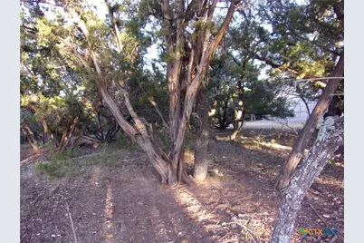 361/395 Mountain Wood, Canyon Lake, TX 78133 - Photo 7