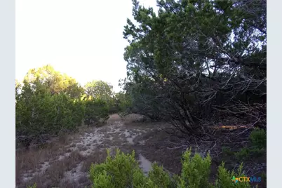 361/395 Mountain Wood, Canyon Lake, TX 78133 - Photo 5