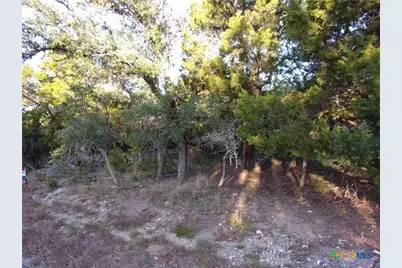 361/395 Mountain Wood, Canyon Lake, TX 78133 - Photo 9