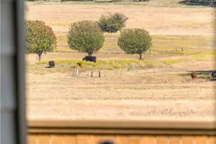 108 The Ugly Wy, Jarrell, TX 76537 - Photo 33