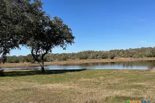 8438 8440 Hwy 183, Goliad, TX 77963 - Photo 5