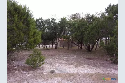 2471 Rolling River View, Spring Branch, TX 78070 - Photo 21