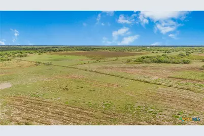 000 Fm 239, Tivoli, TX 77990 - Photo 5
