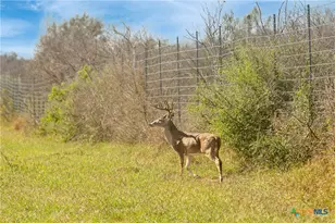 000 Fm 239, Tivoli, TX 77990 - Photo 25