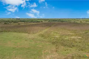 000 Fm 239, Tivoli, TX 77990 - Photo 17