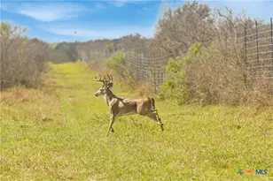 000 Fm 239, Tivoli, TX 77990 - Photo 15